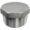 STAINLESS PLUG, 6-POINT, ACID RESISTANT 1/8" GZ