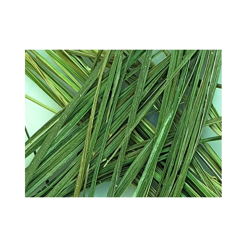 ŻUBRÓWKA Césped NATURAL ECOLÓGICO para 5-10 litros
